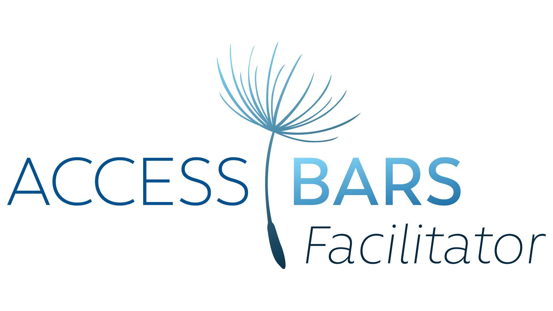 Access Bars Facilitator