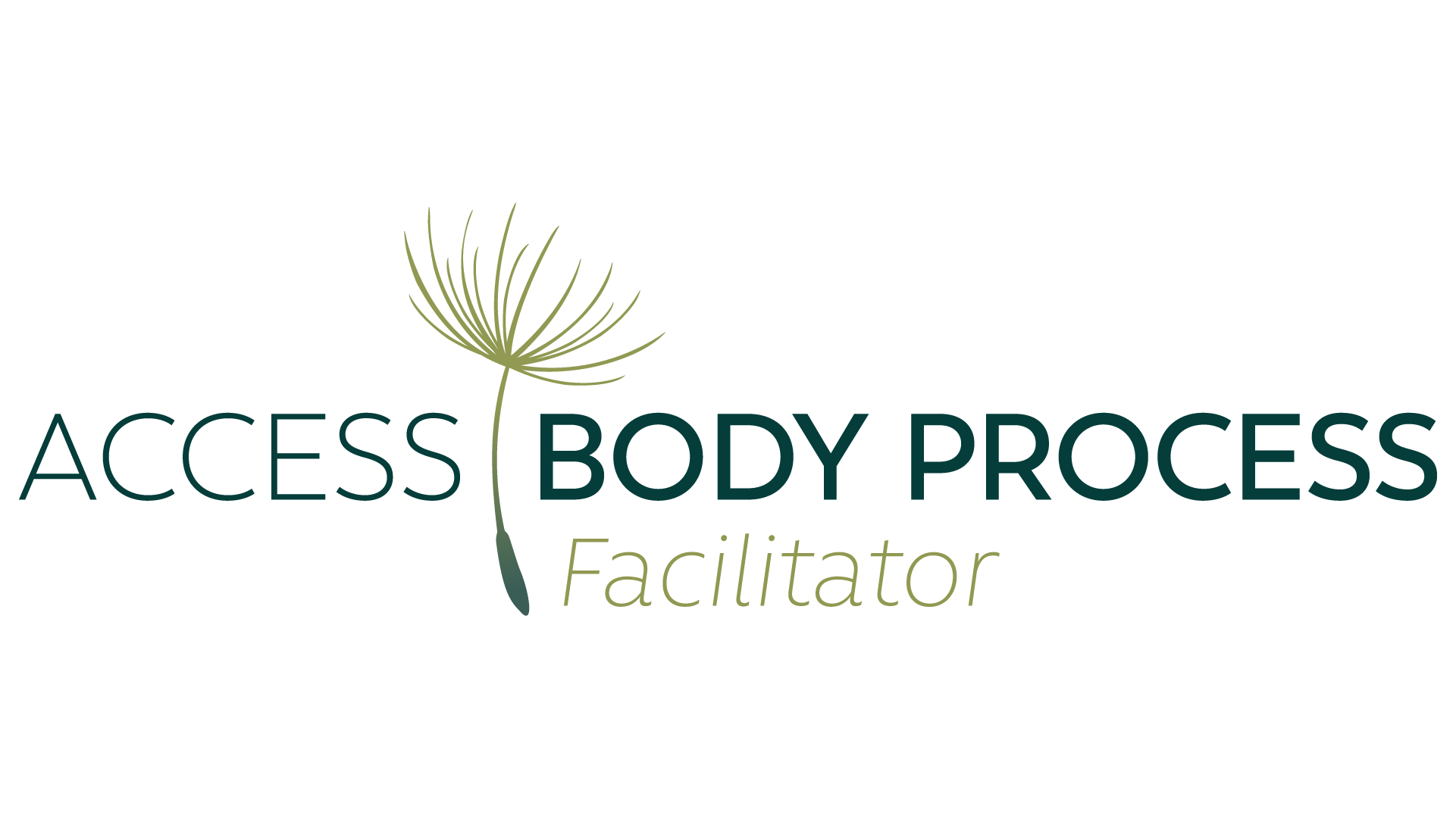 Access Body Process Facilitator